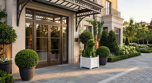 grass dog topiary for hotels at a premium hotel entrance with matching white wooden planter box